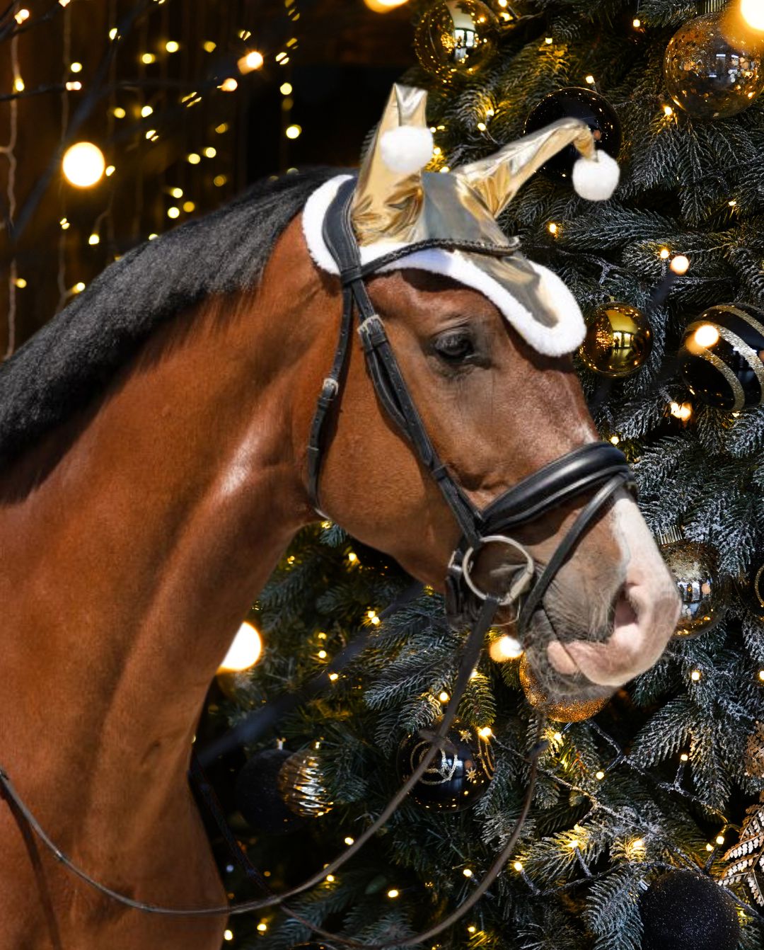 qhp-pferde-ohrenhaube-weihnachten-santa-gold-5381-go-kaufen-www.hotti24.de
