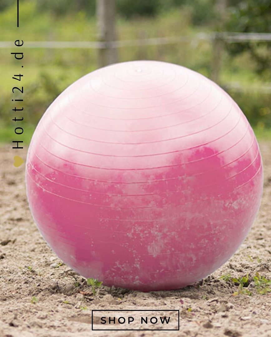 QHP »Pferdespielzeug Pferdefußball Hufkicker Rosa