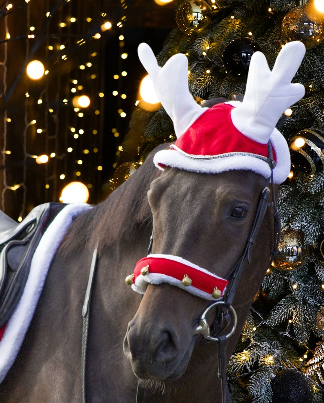 qhp-pferde-rentierhaube-5091-ro-kaufen-www.hotti24.de