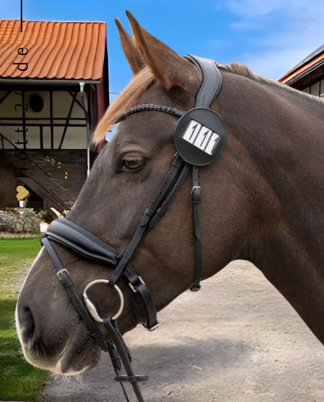 qhp-startnummern-modeste-2230-zw-0-black-kaufen-www.hotti24.de