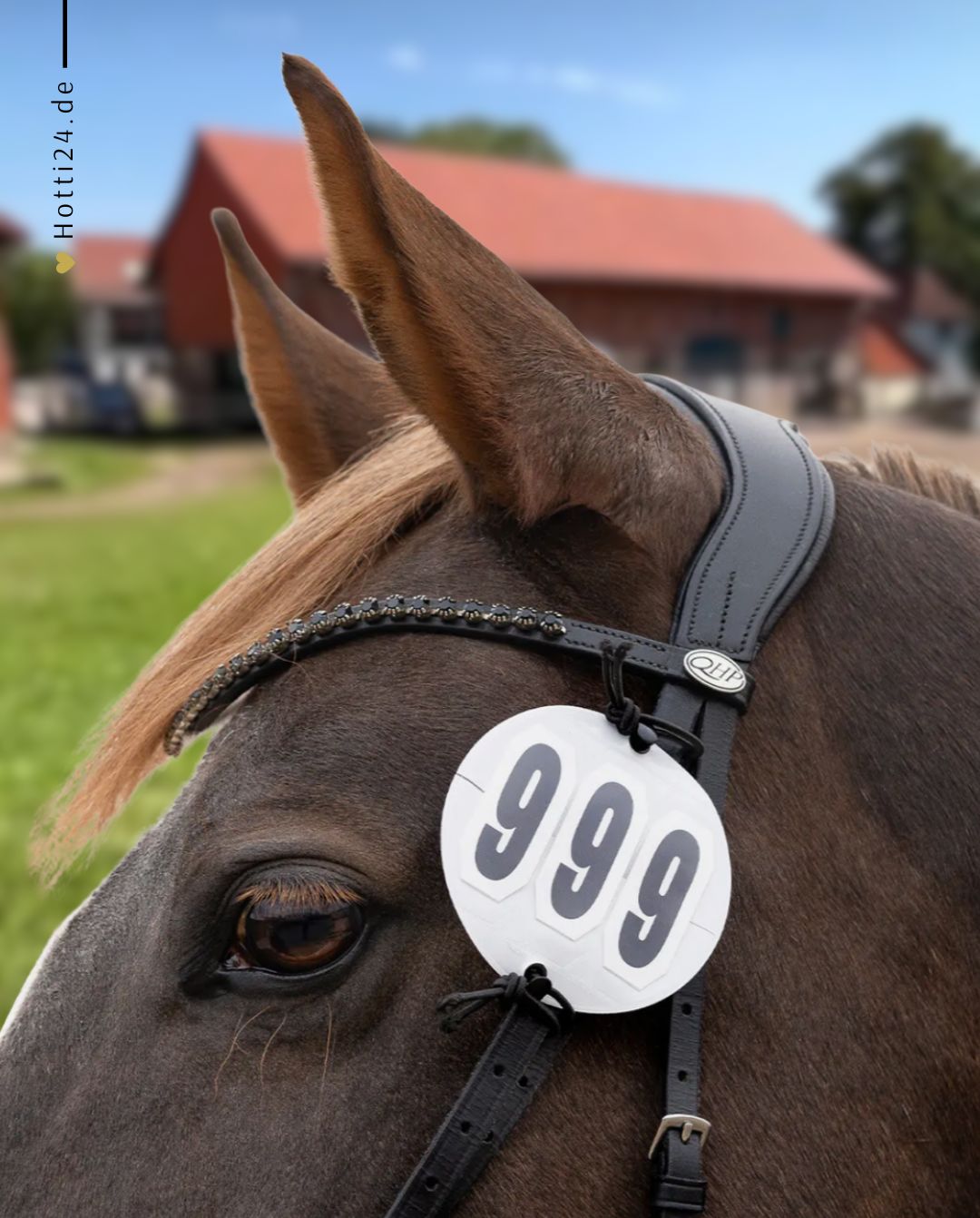 QHP »Startnummern Prim 3-stellig 2er Set White