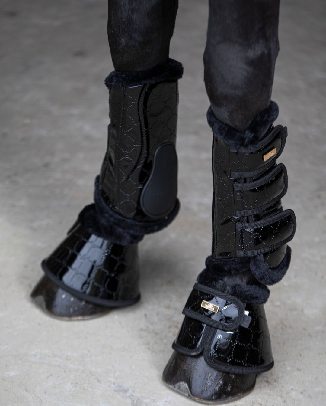 HV Polo »Bell Boots HVPCecile Set of 2 Patent Leather Black