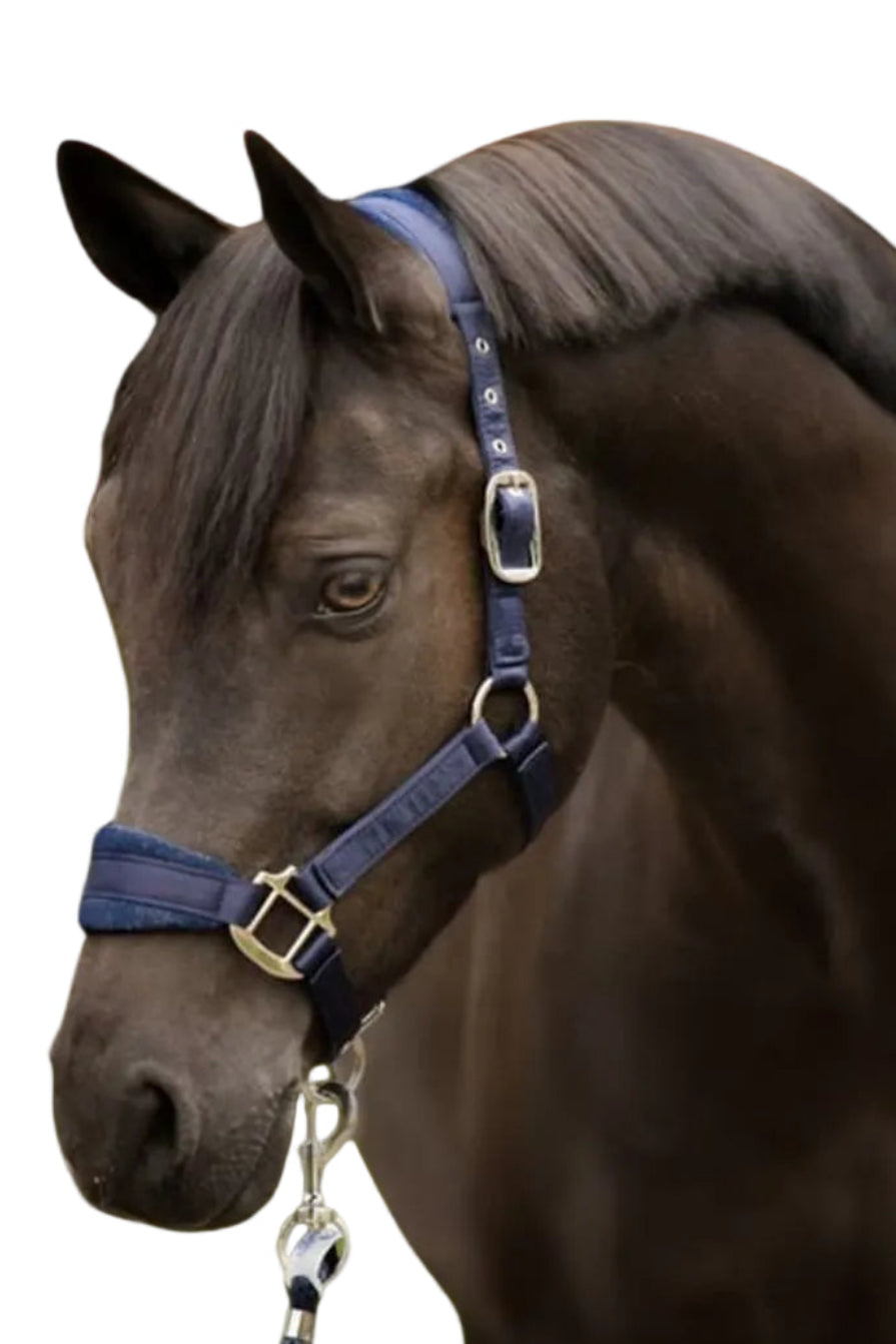 schwarze-equestrian-halfter-set-navy-kaufen-www.hotti24.de