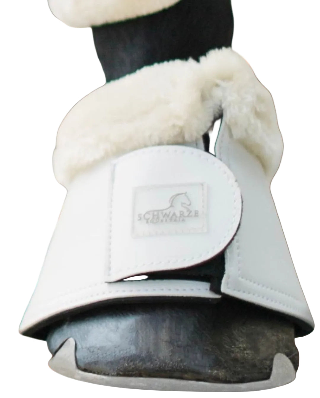 schwarze-equestrian-hufglocken-2er-set-white-kaufen-www.hotti24.de