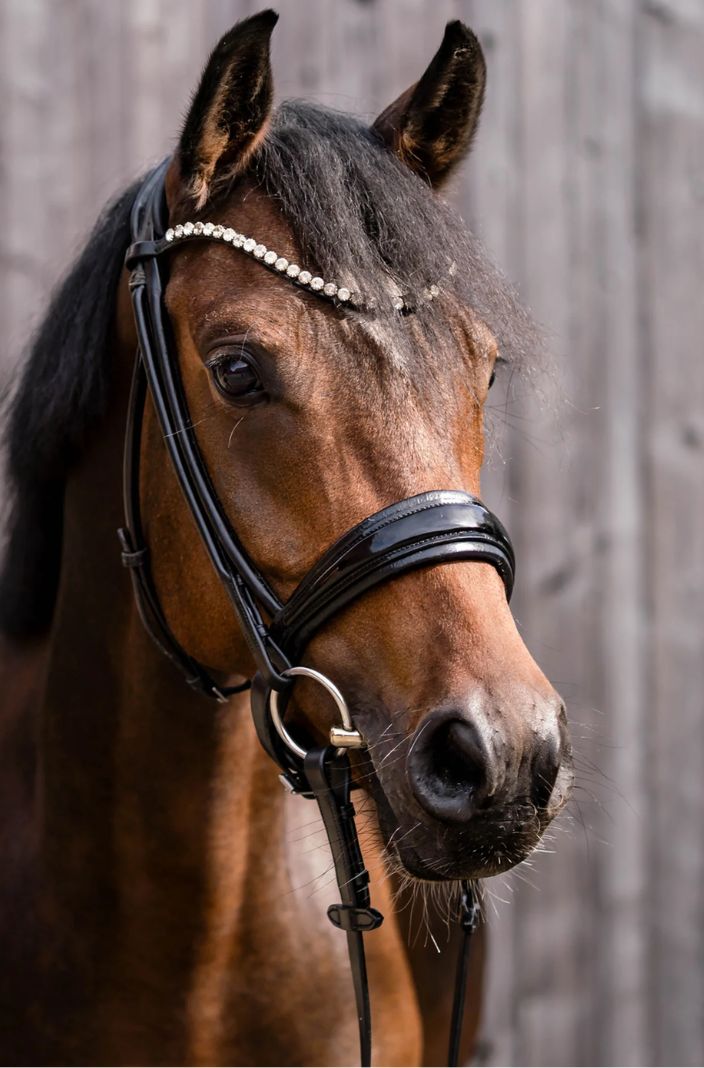 SPRENGER »Bit KK Ultra Loose Ring Snaffle Double Jointed
