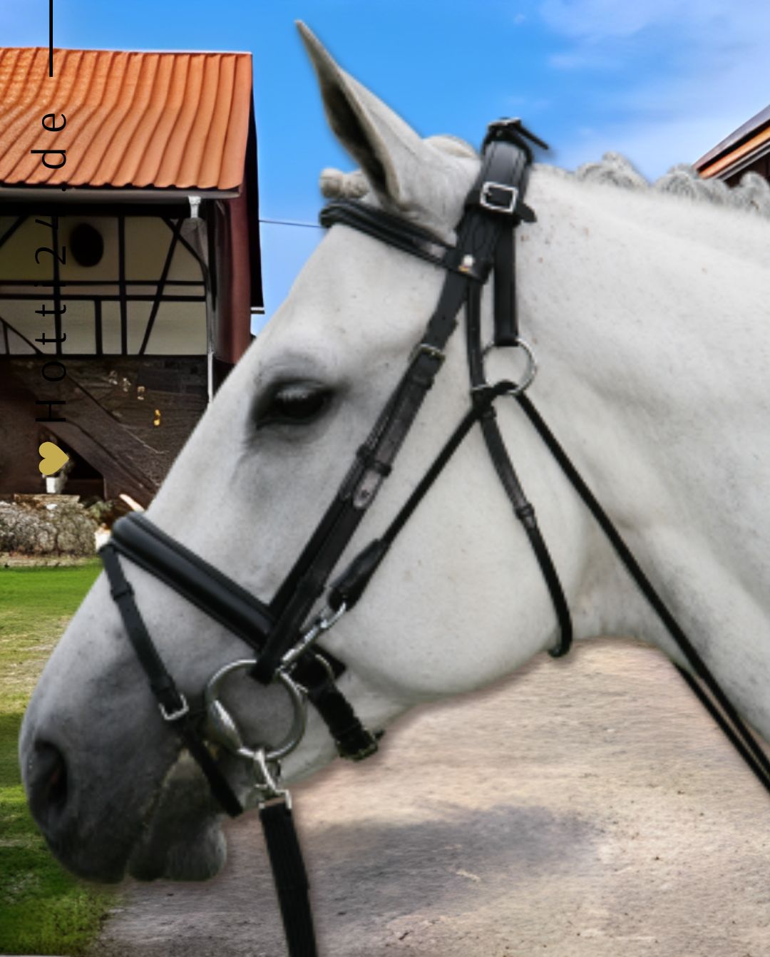 star-chambon-ohne-stosszuegel-black-140400-kaufen-www.hotti24.de