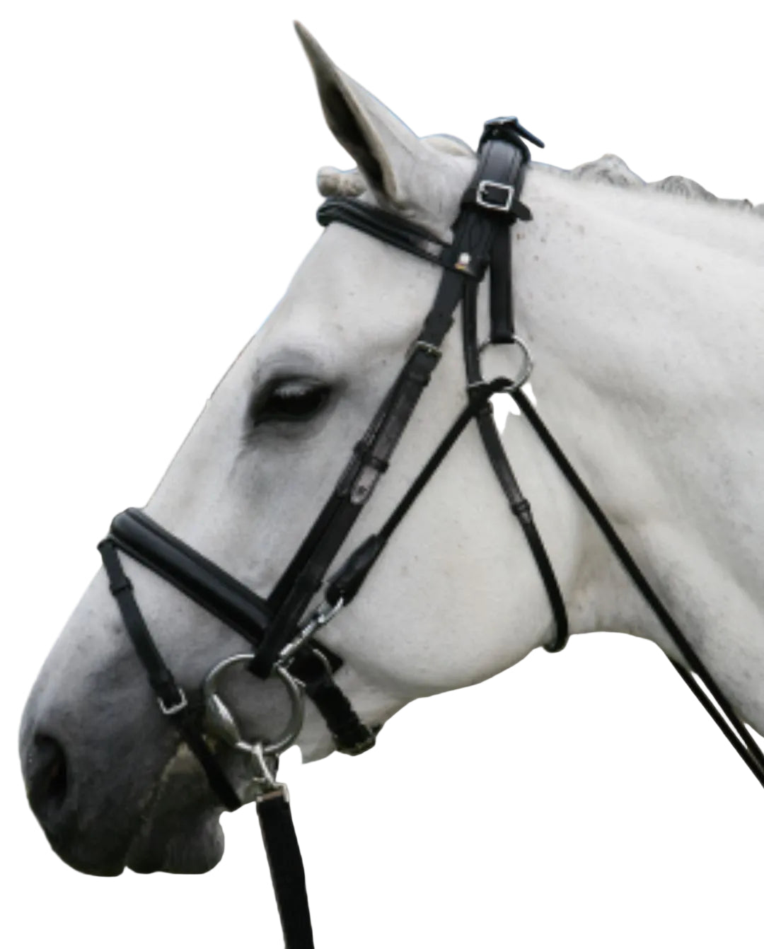 star-chambon-ohne-stosszuegel-black-140400-kaufen-www.hotti24.de