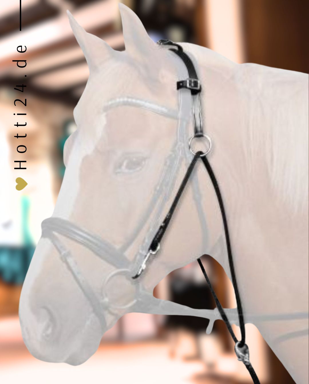 STAR »Chambon ohne Stoßzügel Black