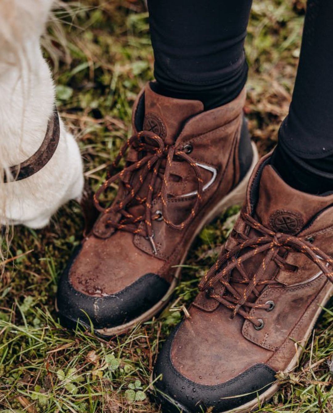 Suedwind "Stable Shoes Riding Jodhpur Boots Lace GripFTX Chocolate