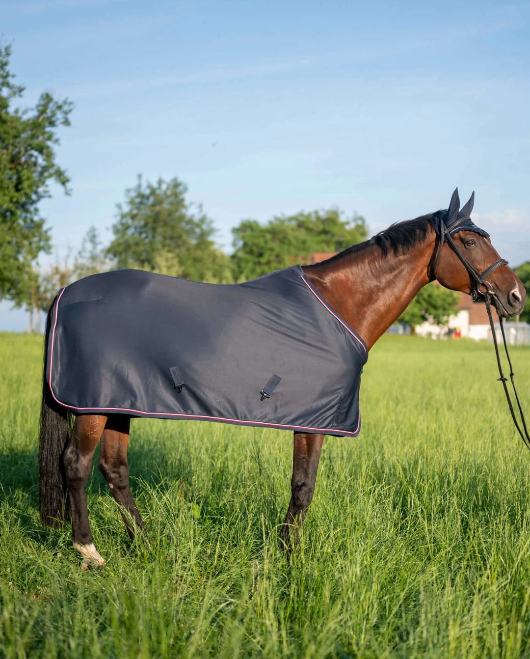 Tommy Hilfiger Equestrian »Abschwitzdecke Color Block Desert Sky