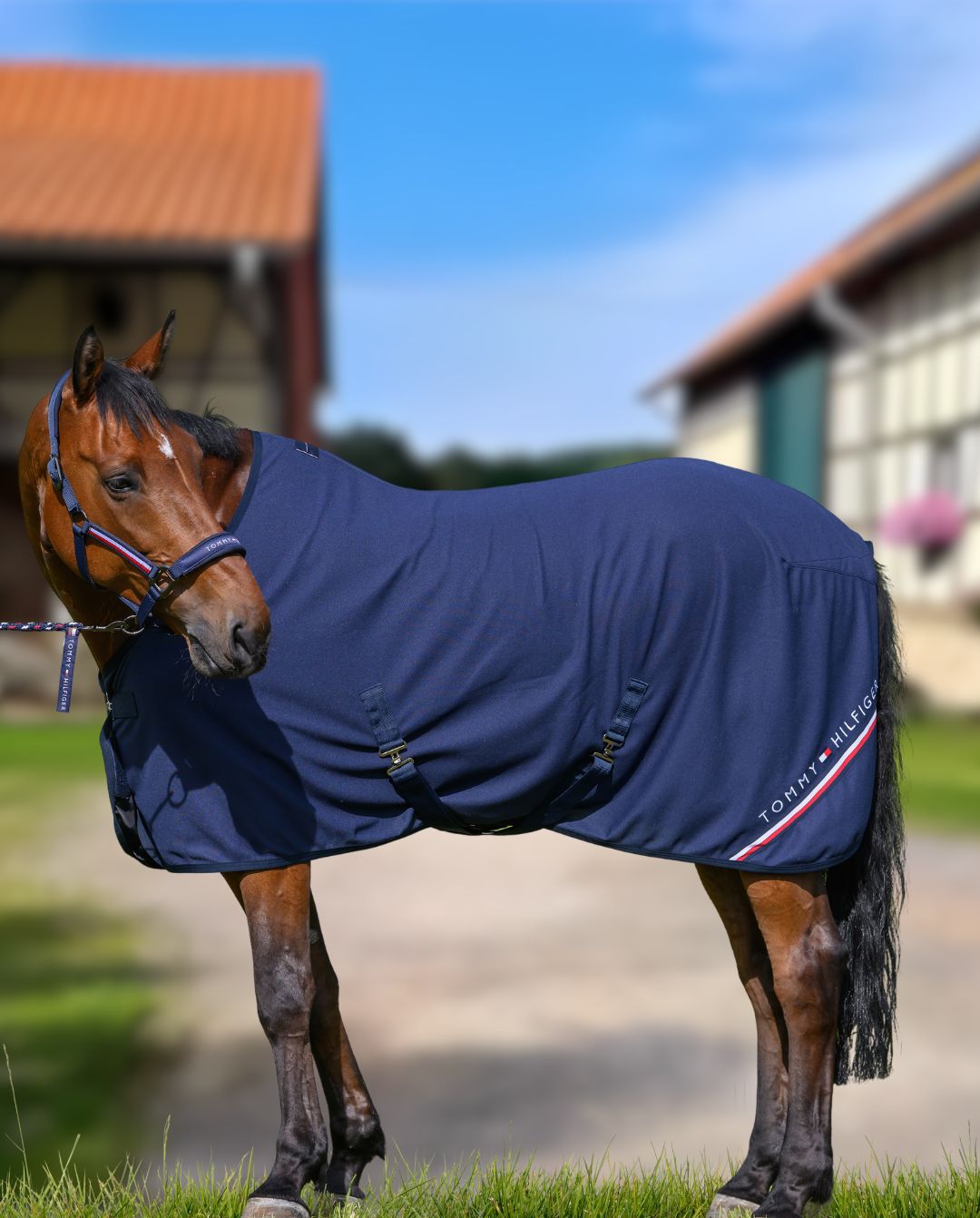 tommy-hilfiger-abschwitzdecke-cornell-desert-sky-th15hrug993-004-kaufen-www.hotti24.de