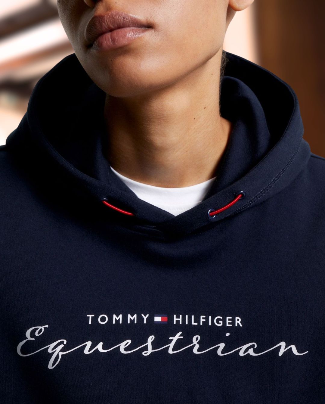 TOMMY HILFIGER »Hoodie Greenwich Desert Sky 🏷️