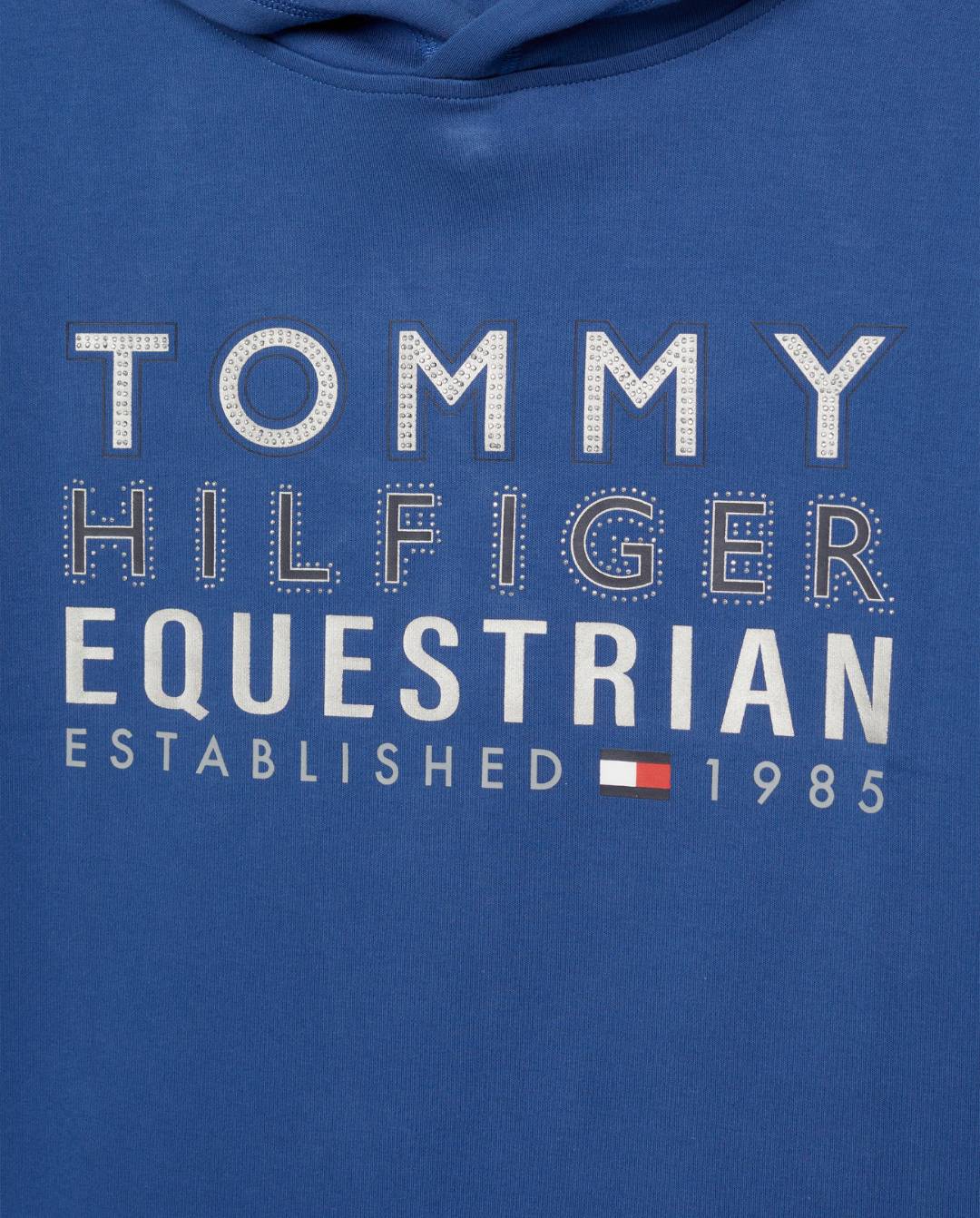 Damen-Hoodie von Tommy Hilfiger mit der Bezeichnung "Hoodie Paris TH08WHOO441-041" in der Farbe Blau. Dieser Hoodie ist auf der Webseite www.hotti24.de erhältlich. Er wurde speziell für Damen entworfen, um sowohl Stil als auch Komfort zu bieten. Zusätzlich sind in der Datei Bilder des Hoodies aus verschiedenen Blickwinkeln enthalten: von vorne, von der Seite und von hinten.