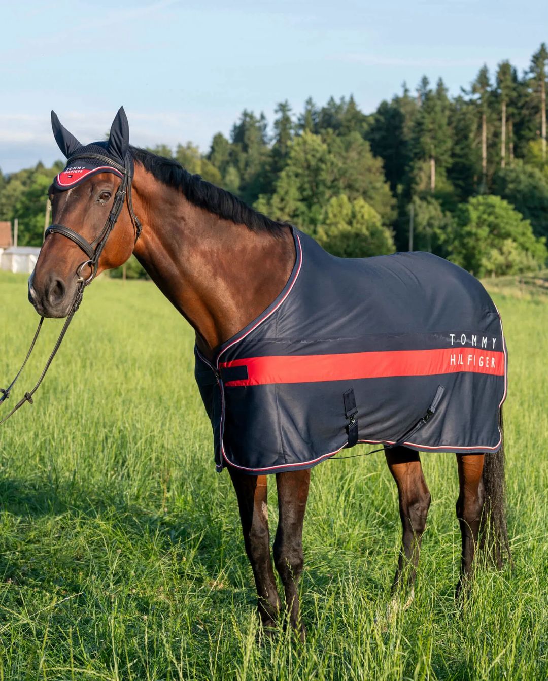 Tommy Hilfiger Equestrian »Abschwitzdecke Color Block Desert Sky