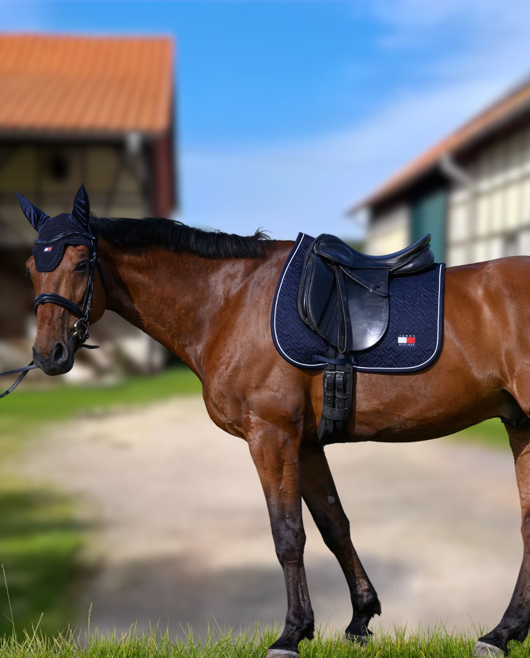 tommy-hilfiger-equestrian-dressurschabracke-harvard-blau-th15hsap973-004-kaufen-www.hotti24.de