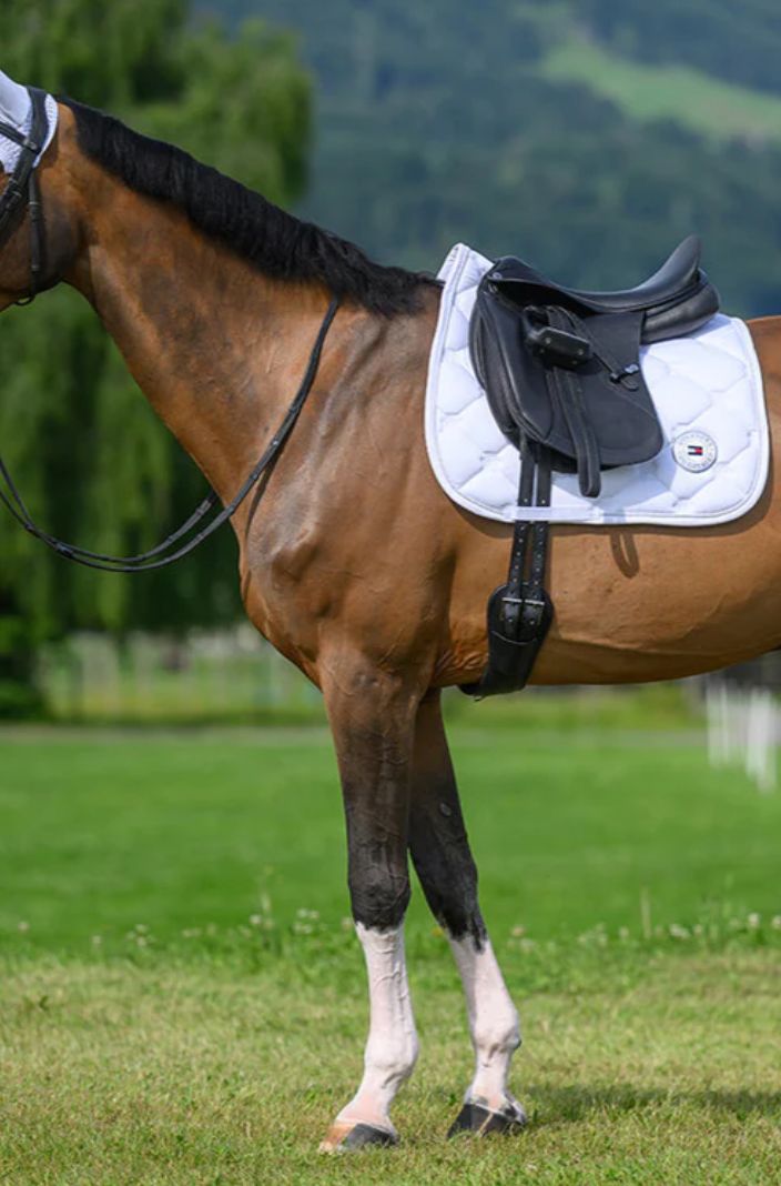 Tommy Hilfiger Equestrian Dressurschabracke Liberty Weiß