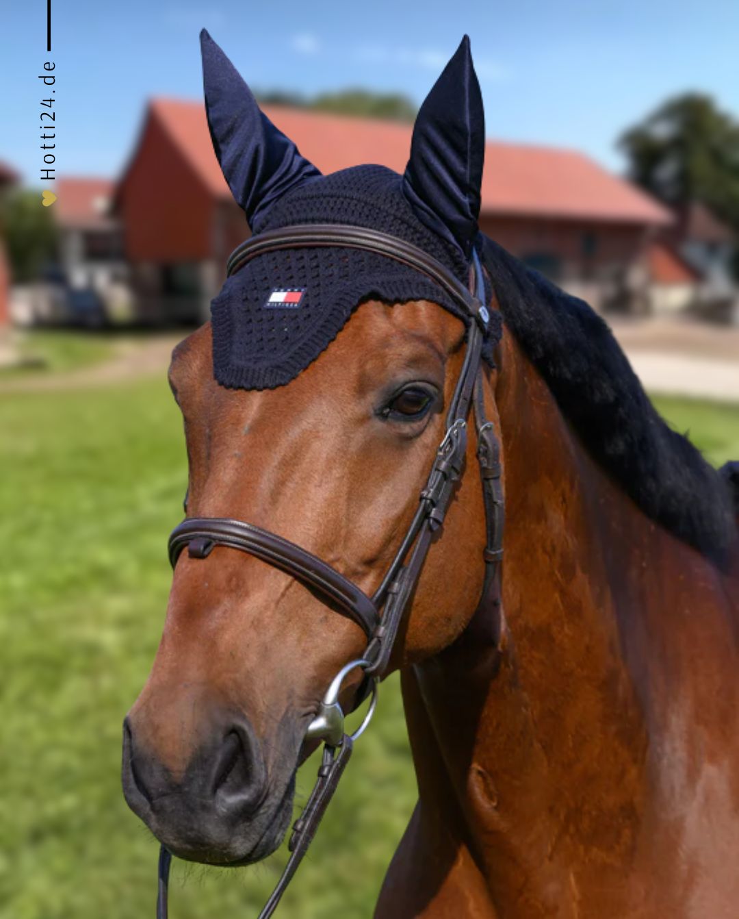 Tommy Hilfiger Equestrian »Fliegenhaube Lexington Desert Sky 🏷️