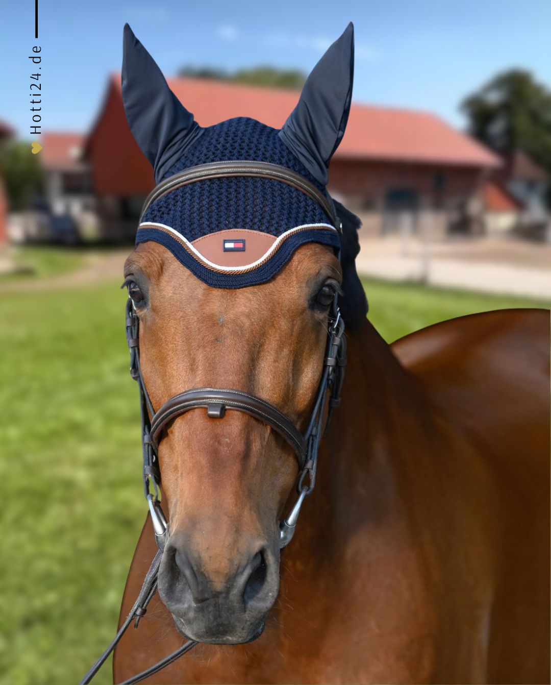 Tommy Hilfiger Equestrian »Fliegenhaube Princeton Desert Sky