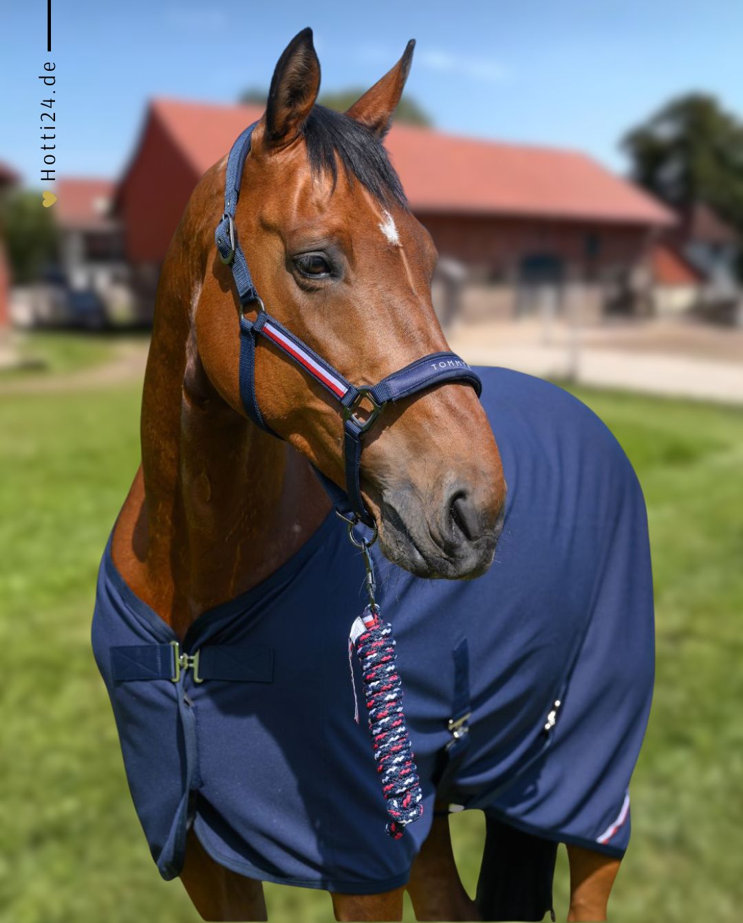 Tommy Hilfiger Equestrian »Halfter & Strick Set Yale Desert Sky