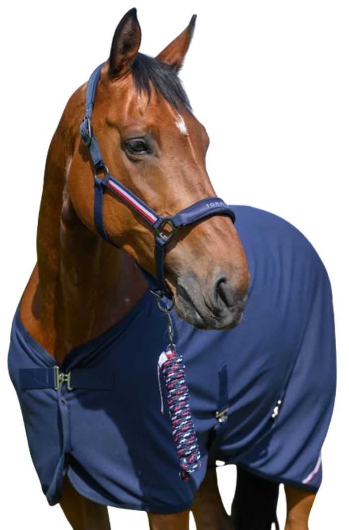 Tommy Hilfiger Equestrian Halfter & Strick Set Yale Desert Sky