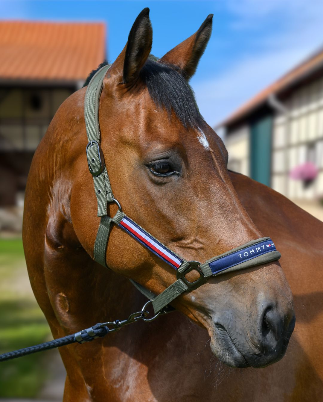 Tommy Hilfiger Equestrian »Halfter & Strick Set Yale Utility Olive