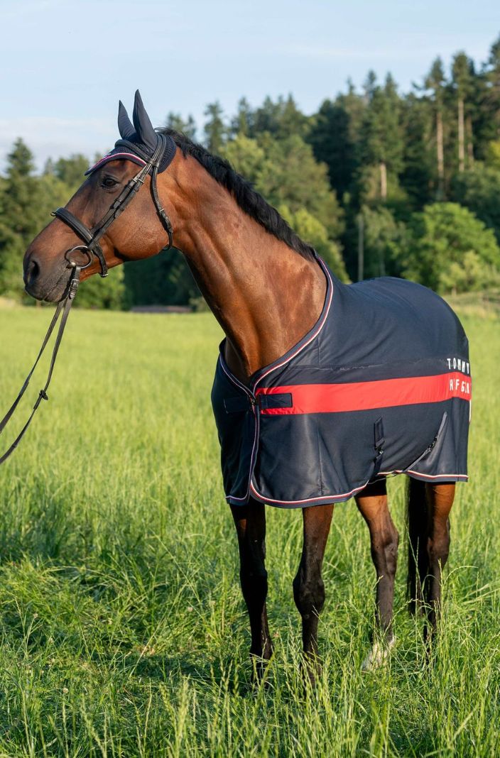 Tommy Hilfiger Equestrian Abschwitzdecke Color Block Desert Sky