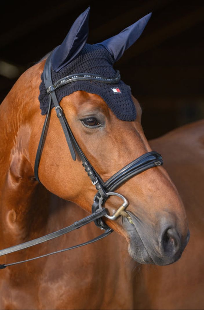 Tommy Hilfiger Equestrian »Fly Veil Lexington Desert Sky 🏷️