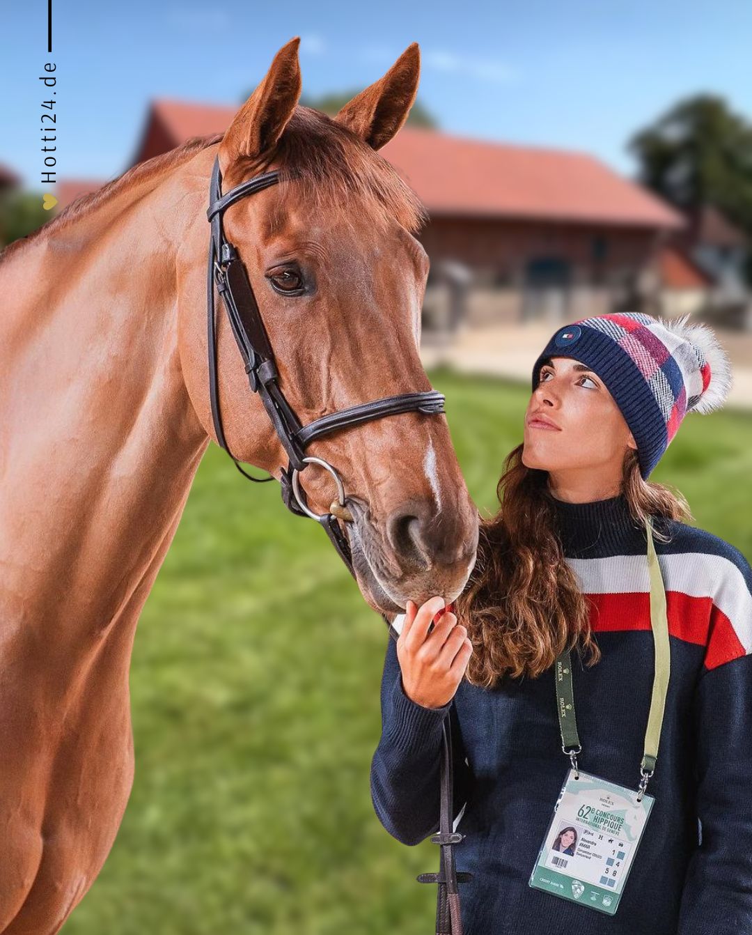 TOMMY HILFIGER »Pullover Statement TH Desert Sky