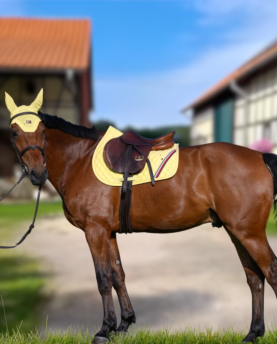 tommy-hilfiger-equestrian-springschabracke-stanford-citron-ella-th15hsap934-051-kaufen-www.hotti24.de