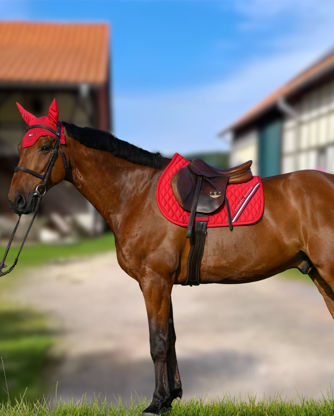 tommy-hilfiger-equestrian-springschabracke-stanford-primary-red-th15hsap934-005-kaufen-www.hotti24.de