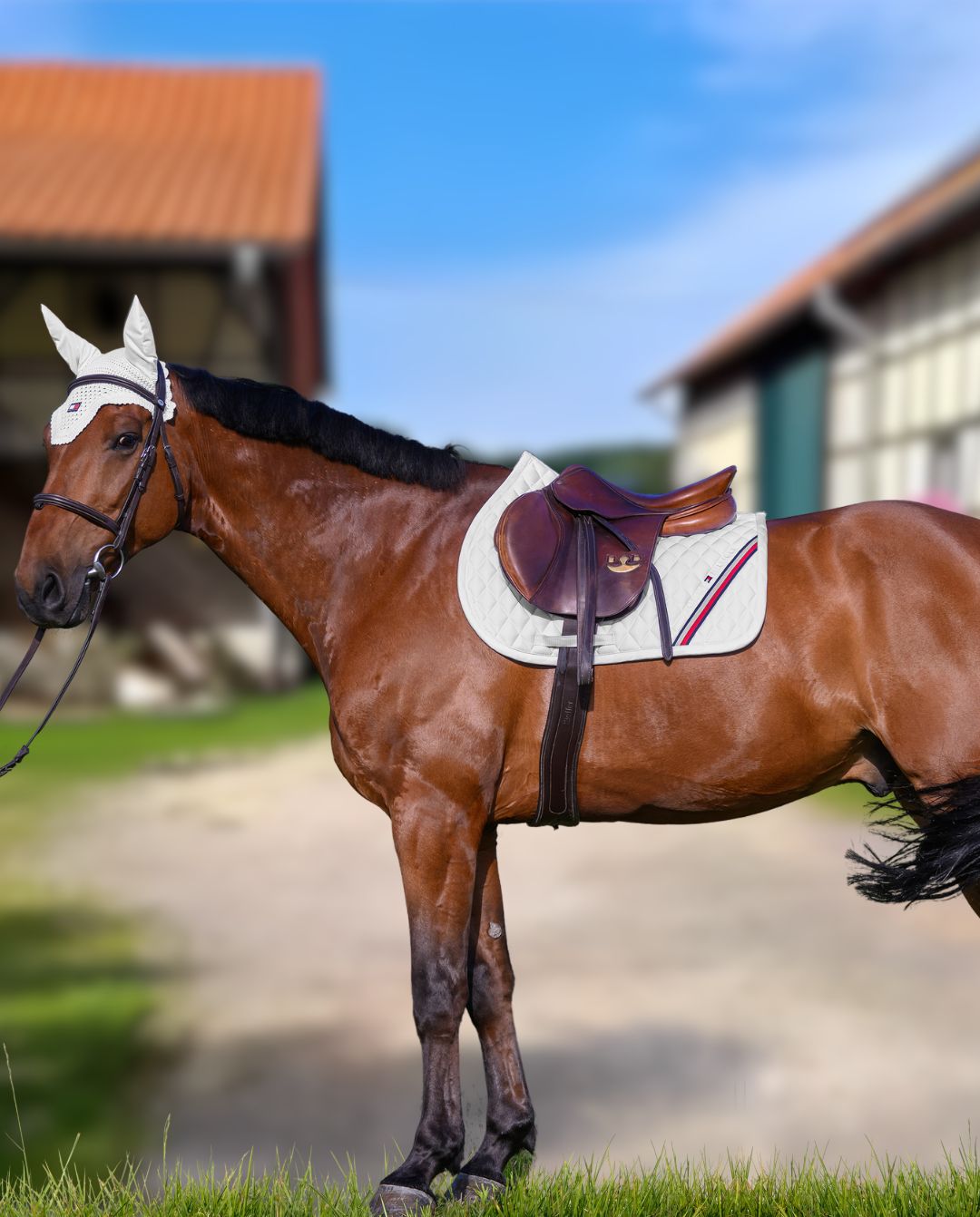 tommy-hilfiger-equestrian-springschabracke-stanford-white-th15hsap934-001-kaufen-www.hotti24.de