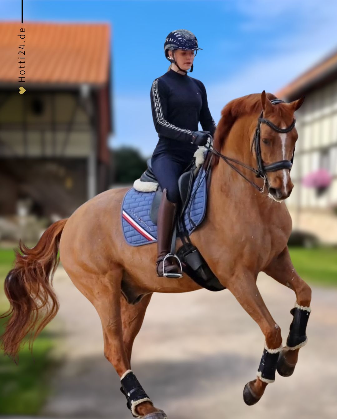 TOMMY HILFIGER »Springschabracke London Blue Coast