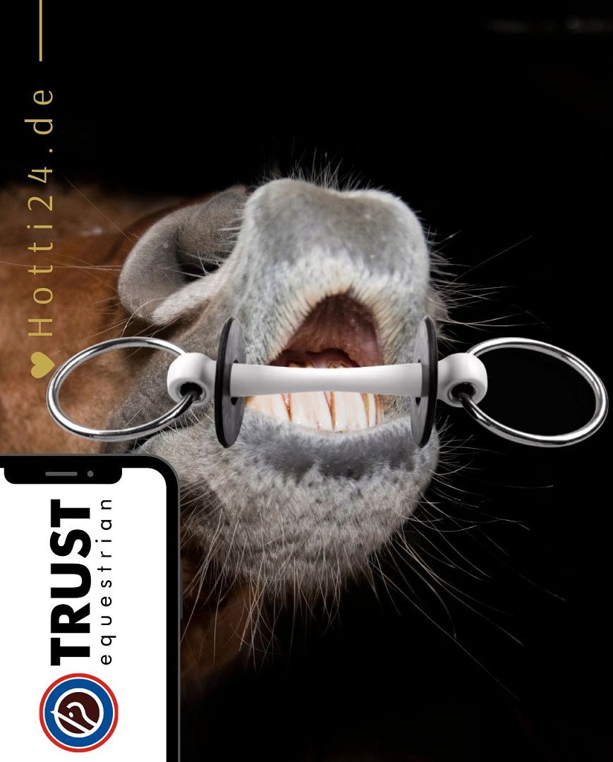 Die vorliegende Datei enthält Informationen über das TRUST Pferdegebiss "Inno Sense Wassertrense" mit einem Flexi Soft Mundstück, das einen Durchmesser von 2,0 cm aufweist. Dieses Gebiss wurde speziell entwickelt, um Ihrem Pferd während des Reitens Komfort und Kontrolle zu bieten. Sie können dieses Pferdegebiss mit der Artikelnummer 05001131 auf der Website www.Hotti24.de erwerben.