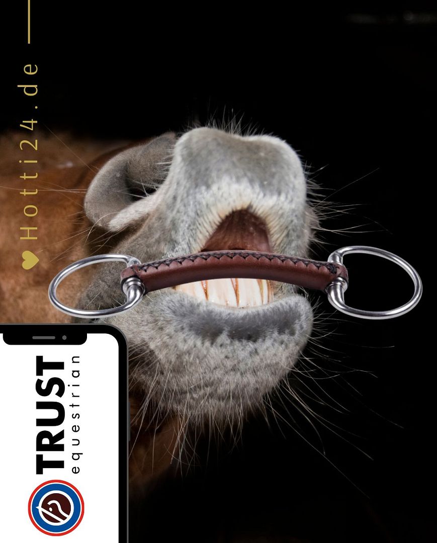 Die vorliegende Datei enthält Informationen über das TRUST Pferdegebiss "Leder Olivenkopf Stangengebiss" mit der Artikelnummer 05000221. Dieses Gebiss bietet eine spezielle Konstruktion mit einem Olivenkopf und Stangenelementen, um Ihrem Pferd während des Reitens Komfort und Kontrolle zu bieten. Sie können dieses Pferdegebiss auf der Website www.Hotti24.de erwerben.