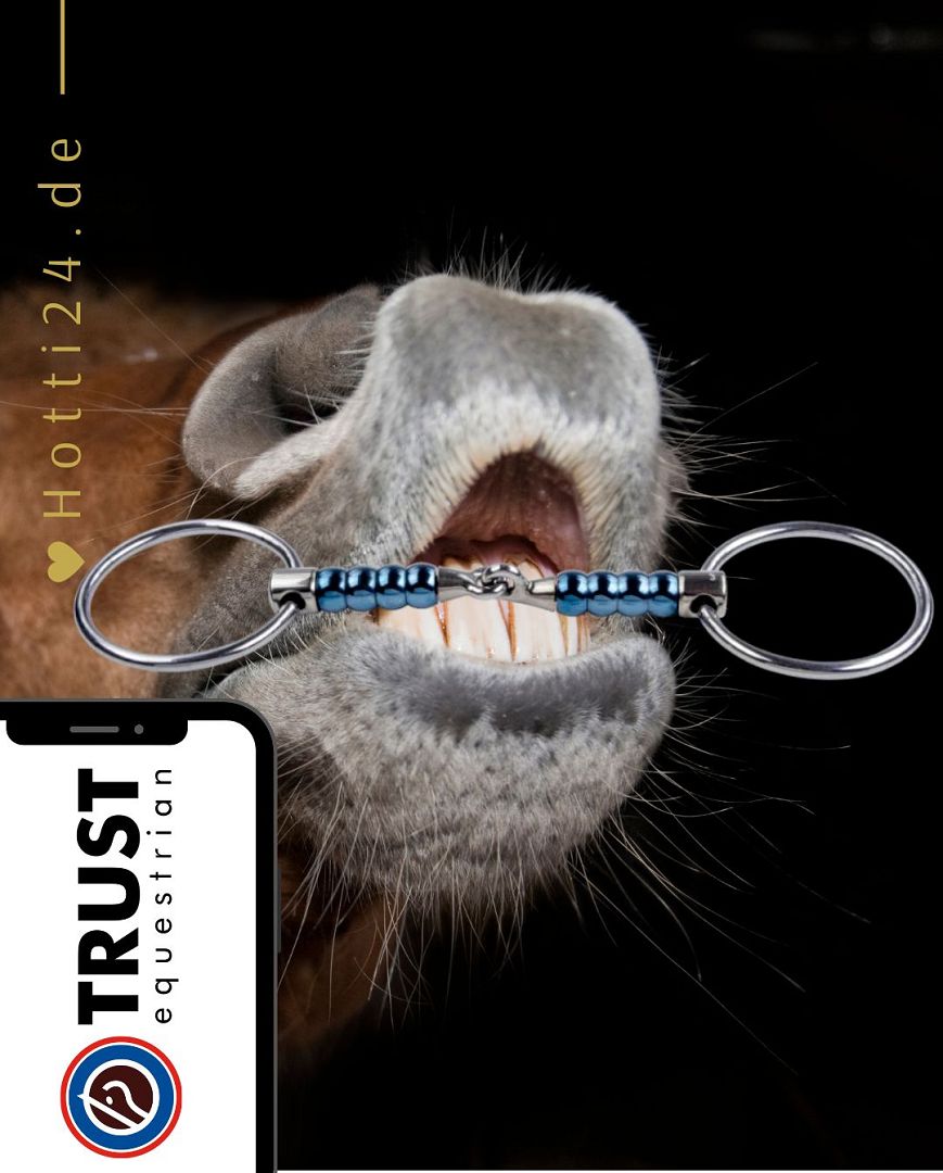 Die vorliegende Datei enthält Informationen über das TRUST Pferdegebiss "Sweet Iron Wassertrense mit Rollen" mit einem Durchmesser von 16 mm und der Artikelnummer 05000003. Dieses Gebiss wurde speziell für Pferde entwickelt, um ihnen Komfort und Führung während des Reitens zu bieten. Sie können dieses Pferdegebiss auf der Website www.Hotti24.de erwerben.