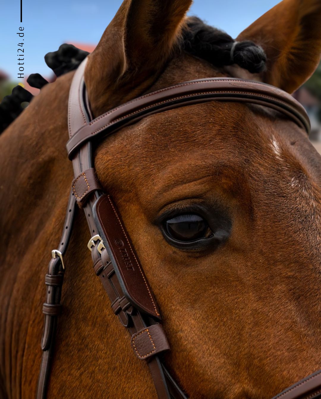 TRUST »Scheuklappen Blinkers Brown