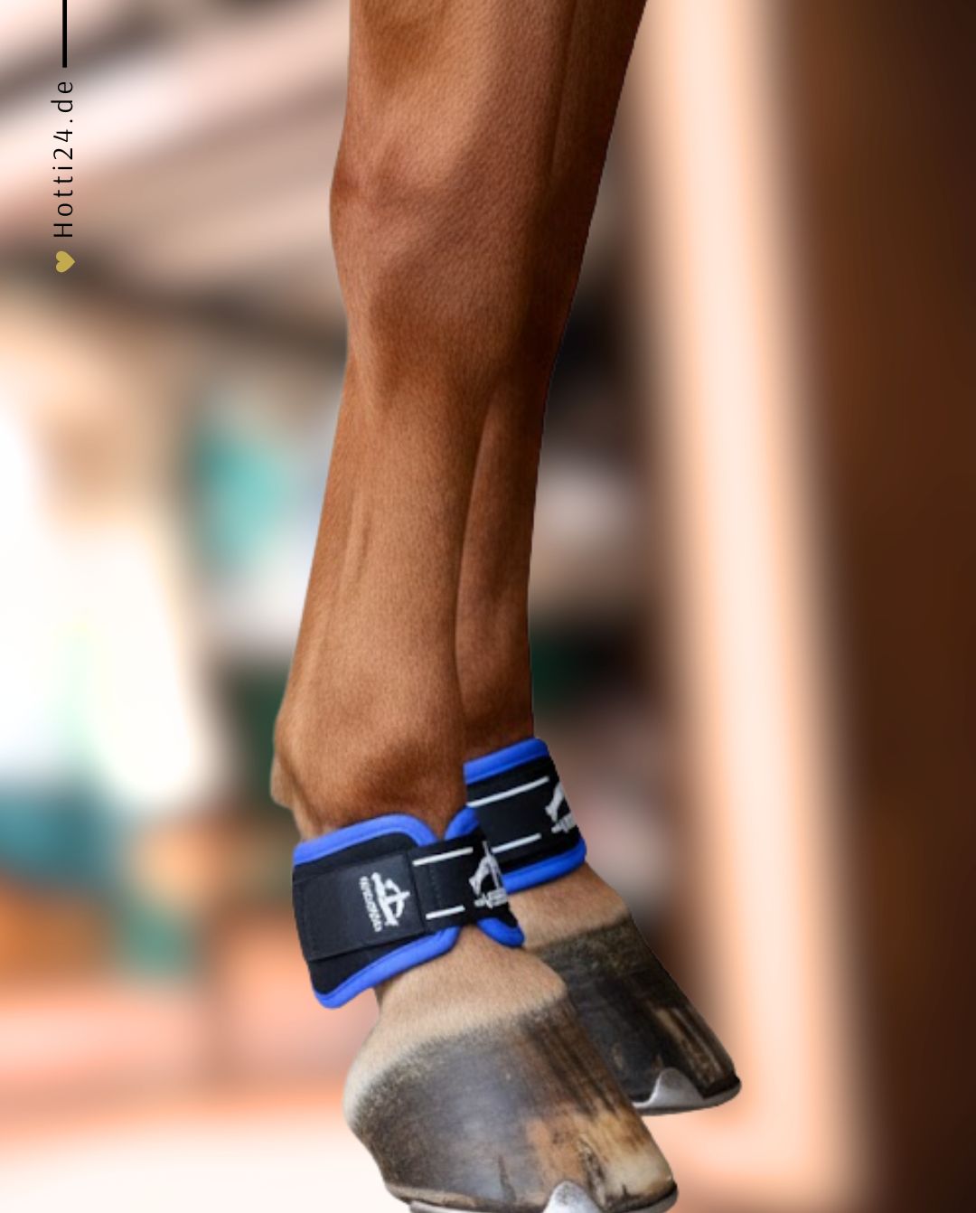 Veredus »Magnet Fesselschutz Magnetik Pro Wrap Black