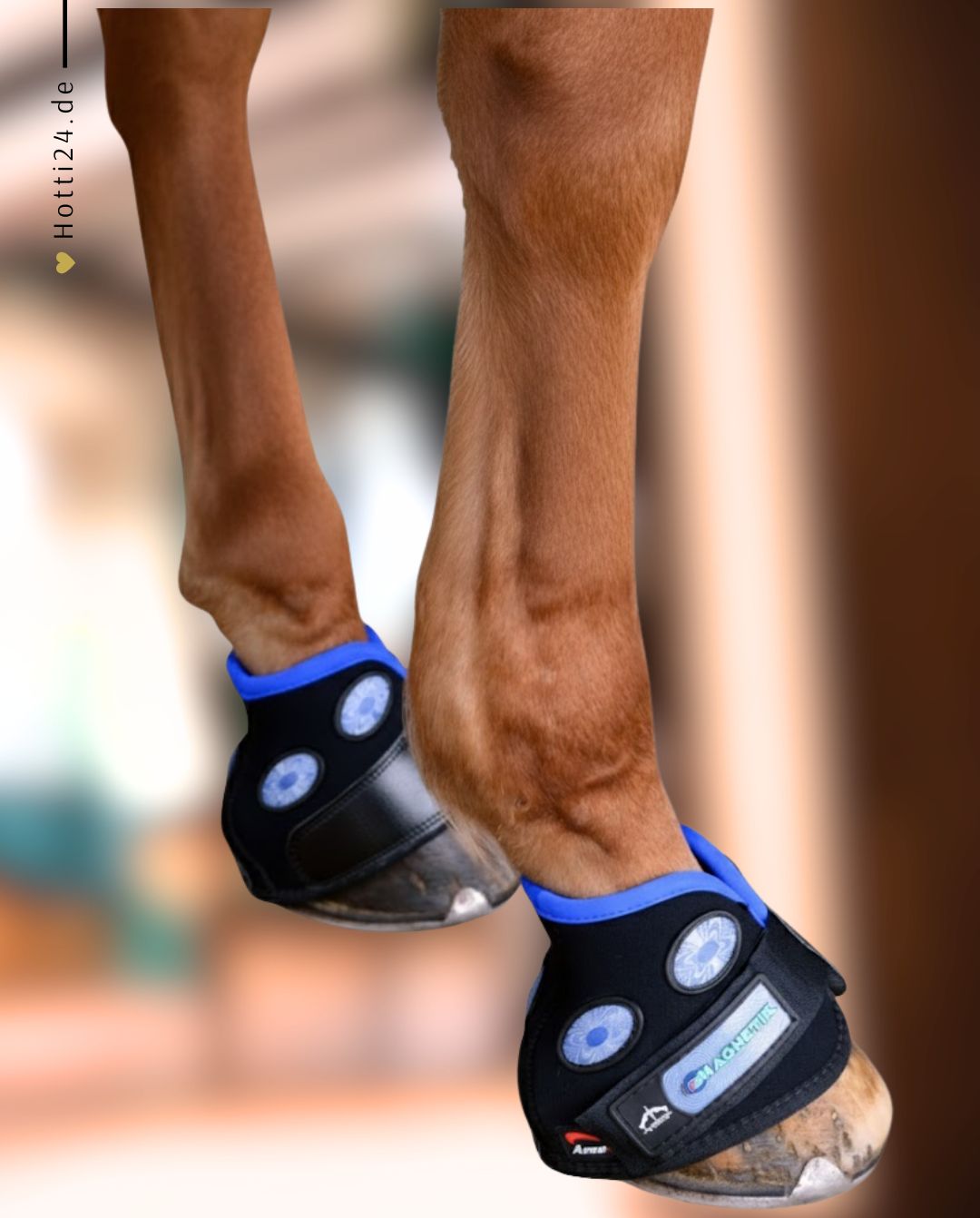 Veredus »Magnet Hufglocken Magnetik Hoof Boot Black