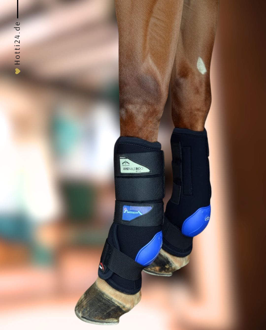 Veredus »Stallgamaschen Magnetfeld Magnetik Stable Boot Evo hinten Black