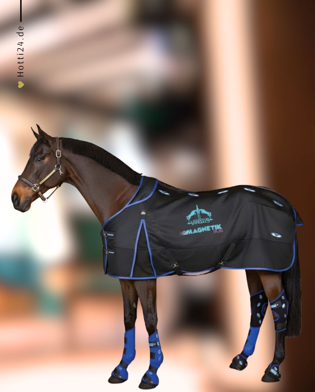 veredus-magnetfelddecke-magnetik-black-mr12-kaufen-www.hotti24.de