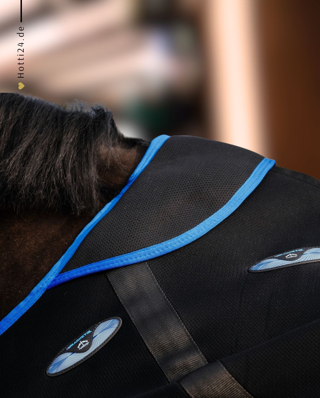 Veredus »Magnetfelddecke Magnetik Black