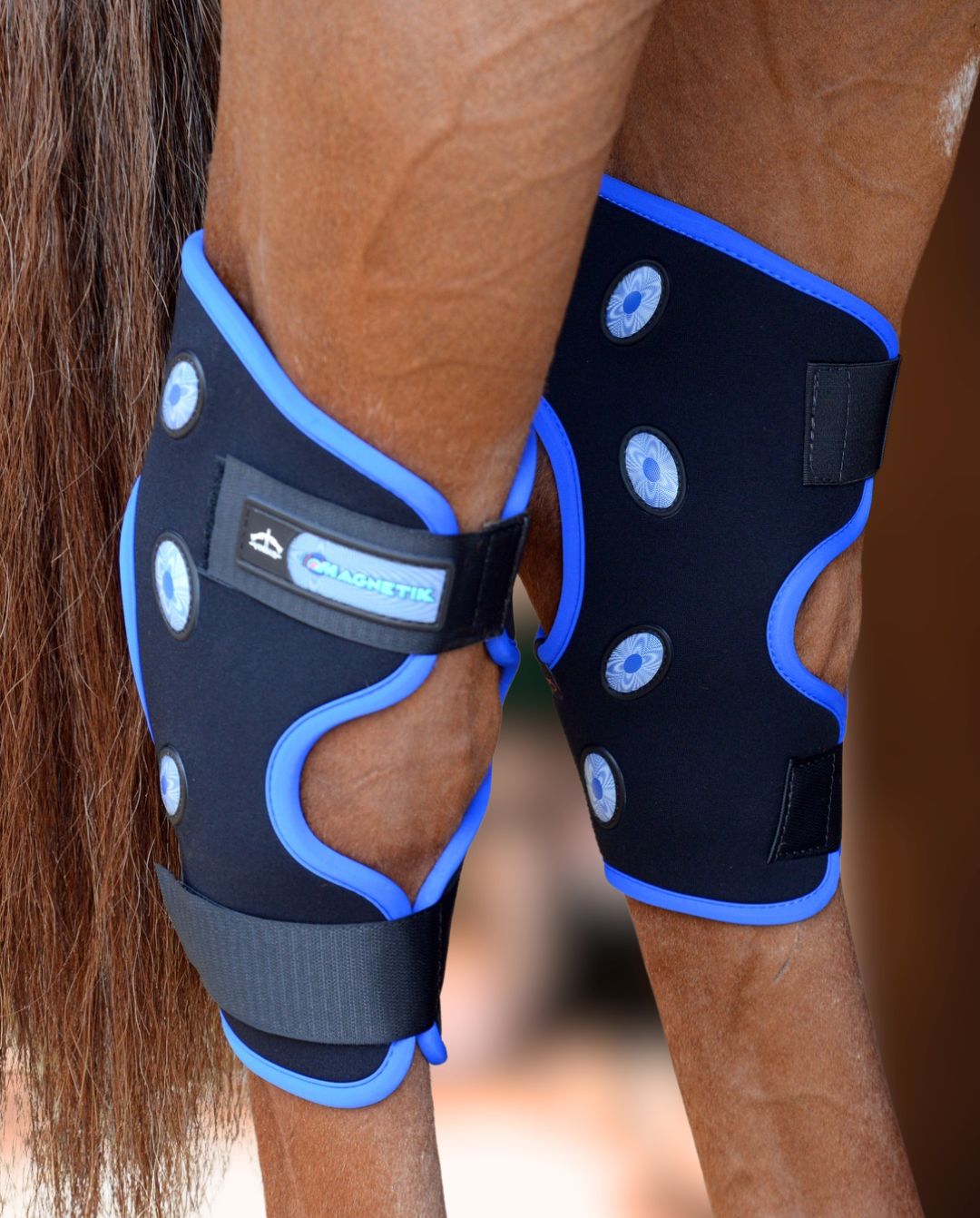 Veredus »Magnet Sprunggelenkschoner Magnetik Hock Black