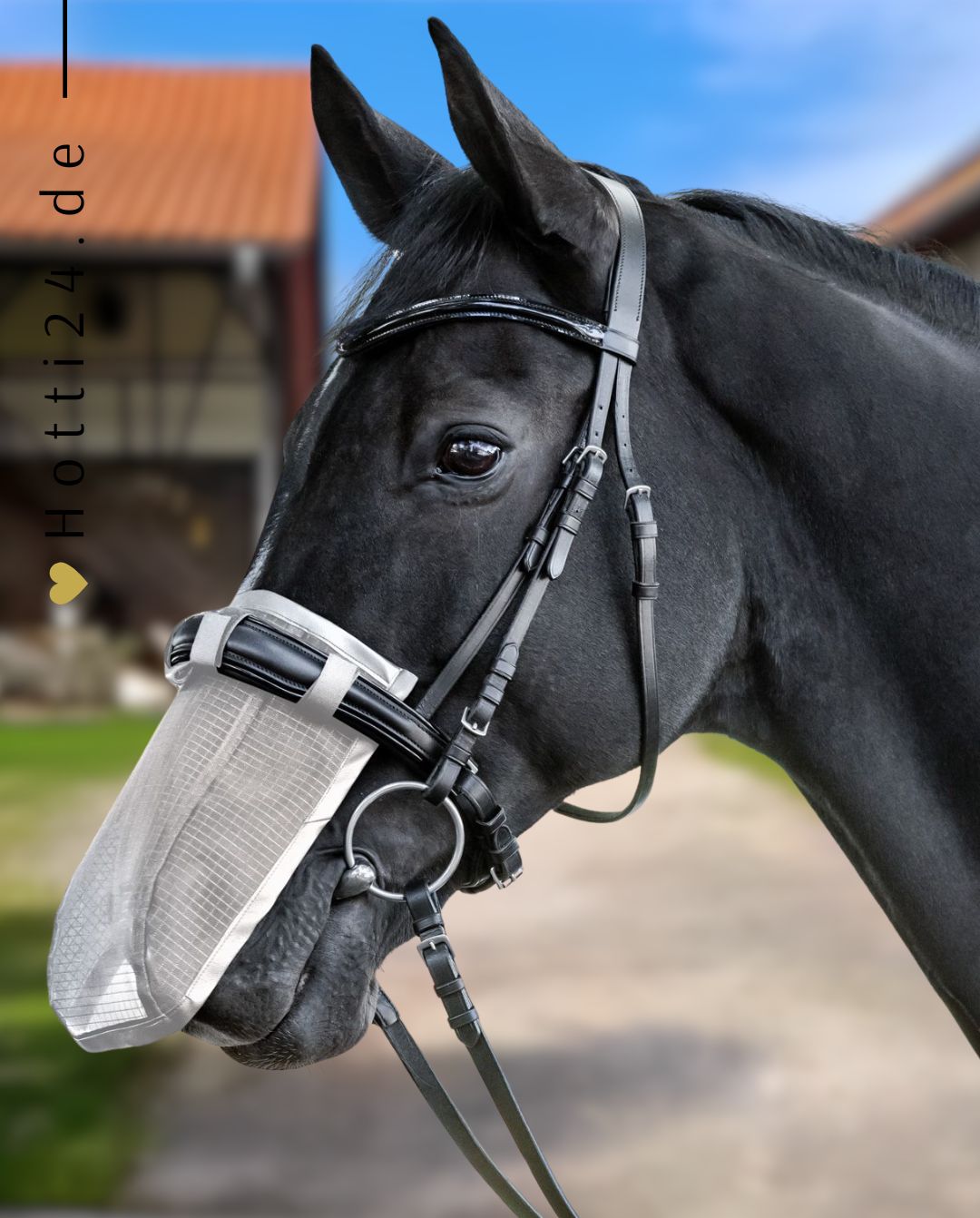 waldhausen-fliegen-nasenschutz-63151011-grey-kaufen-www.hotti24.de