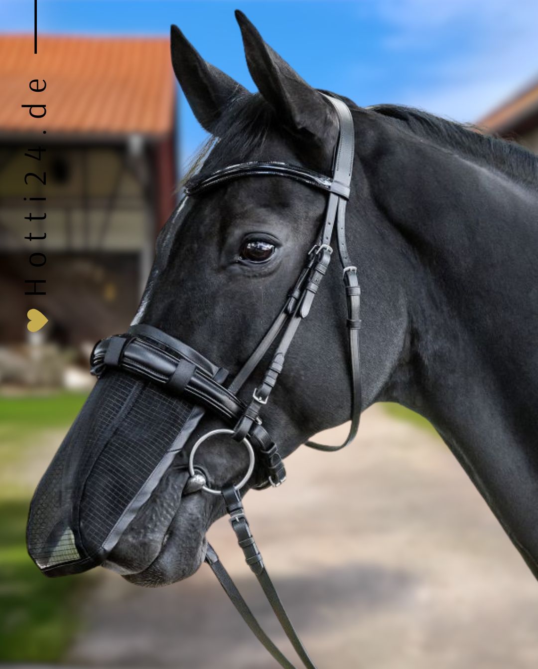 waldhausen-fliegen-nasenschutz-black-63151001-kaufen-www.hotti24.de