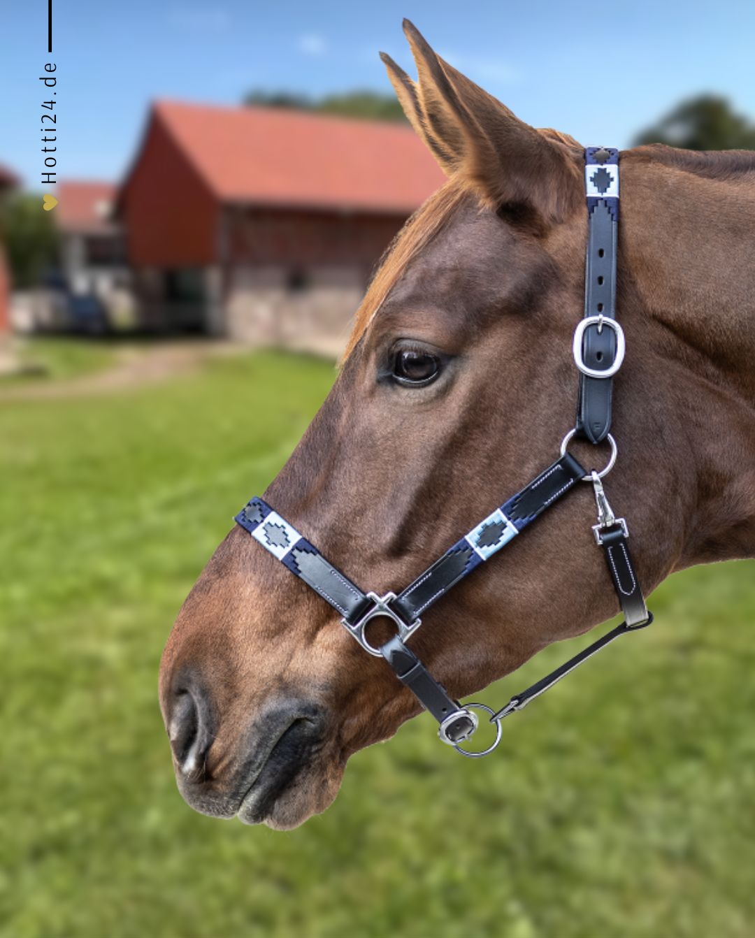 Waldhausen "Polo Black Headcollar