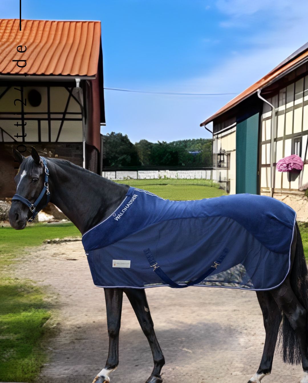 waldhausen-pferde-fleece-fliegendecke-comfort-6329905-blau-kaufen-www.hotti24.de