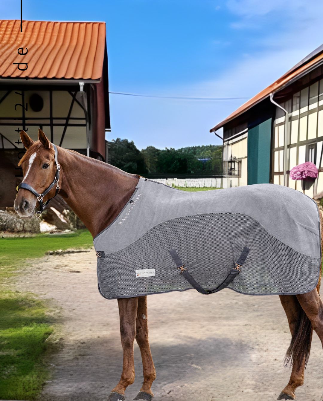 waldhausen-pferde-fleece-flydecke-comfort-6329910-grau-kaufen-www.hotti24.de