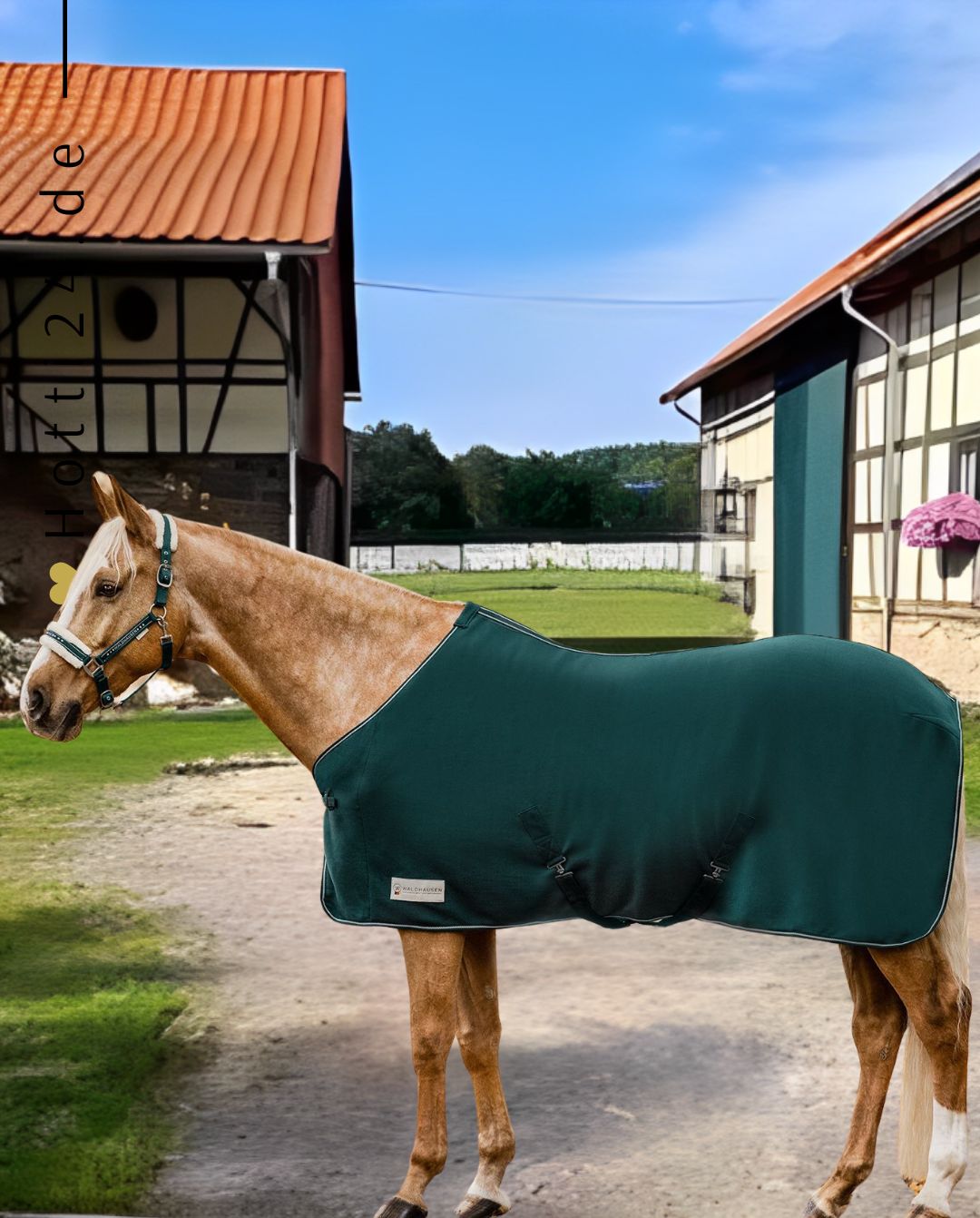 waldhausen-pferde-fleecedecke-economic-6318464-145-green-kaufen-www.hotti24.de