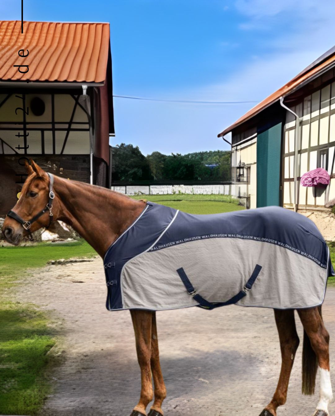 waldhausen-pferde-fliegendecke-6327557-12-kaufen-www.hotti24.de