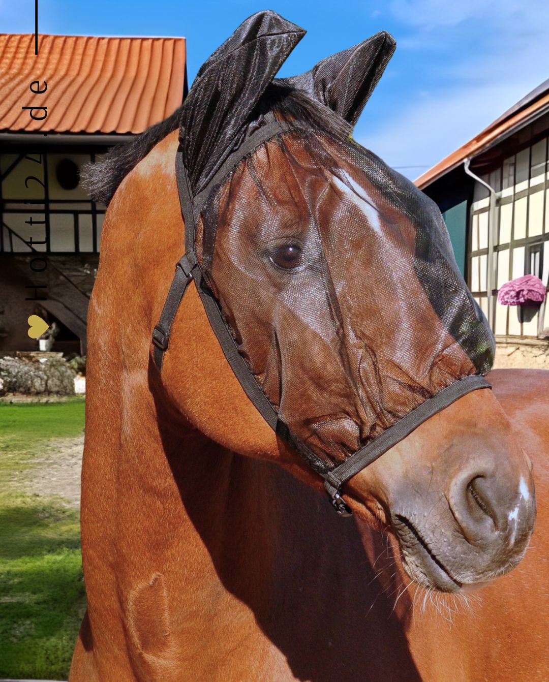 waldhausen-pferde-fliegenmaske-basic-631901-schwarz-kaufen-www.hotti24.de